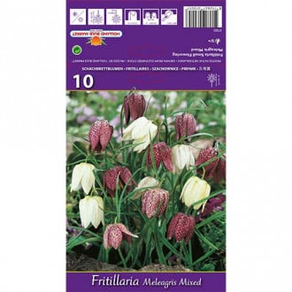 Teder (fritillaria) Meleagris Mixed interface.image 3