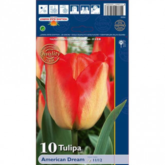 Tulip American Dream interface.image 3