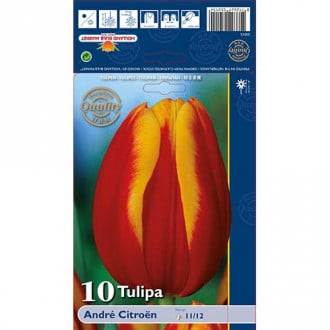 Tulip Andre Citroen interface.image 4