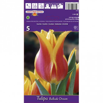 Tulip Ballade Dream interface.image 2