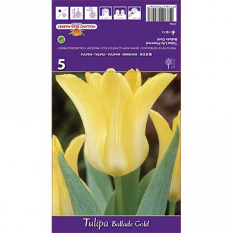 Tulip Ballade Gold interface.image 1