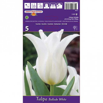 Tulip Ballade White interface.image 5