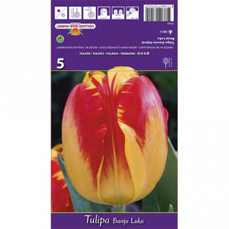 Tulip Banja Luka interface.image 4