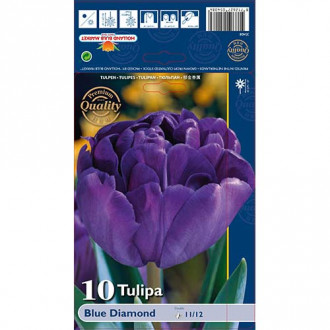 Tulip Blue Diamond interface.image 1