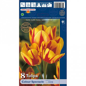 Tulip Colour Spectacle interface.image 1