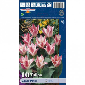 Tulip Czaar Peter interface.image 4