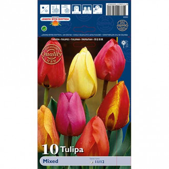 Tulip Darwin, segu interface.image 6