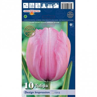 Tulip Design Impression interface.image 2