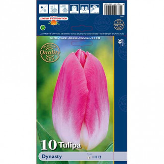 Tulip Dynasty interface.image 1