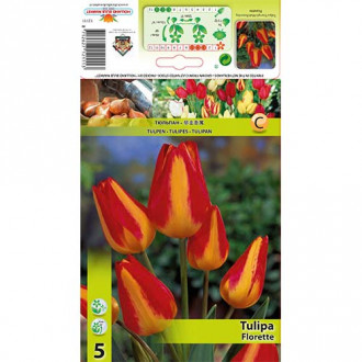 Tulip Florette interface.image 3