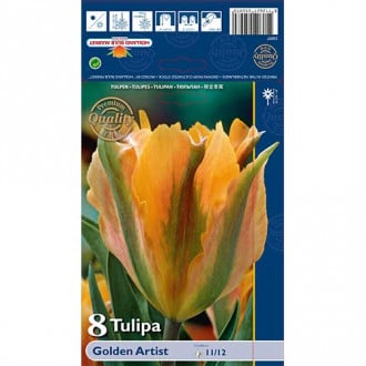 Tulip Golden Artist interface.image 1