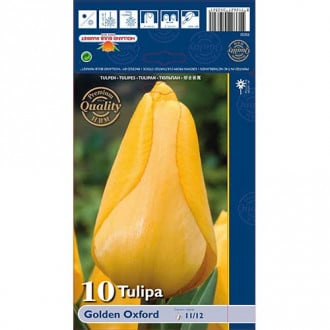 Tulip Golden Oxford interface.image 2