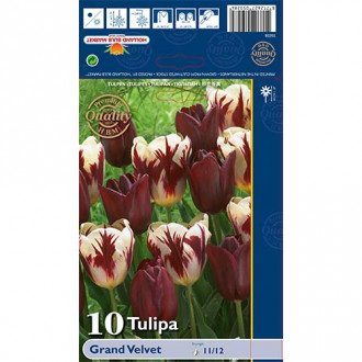 Tulip Grand Velvet interface.image 5