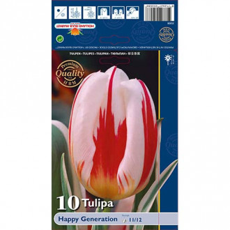 Tulip Happy Generation interface.image 1