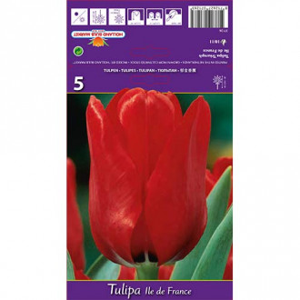 Tulip Ile de France interface.image 2