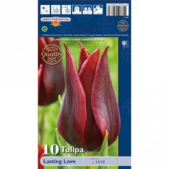 Tulip Lasting Love interface.image 6