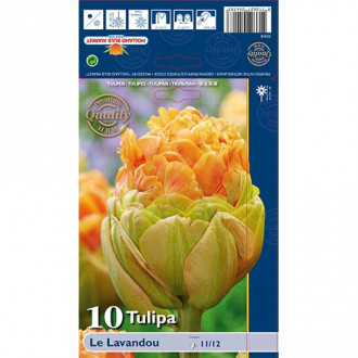 Tulip Le Lavendou interface.image 3