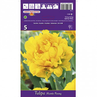 Tulip Monte Peony interface.image 1