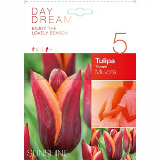 Tulip Muvota interface.image 2