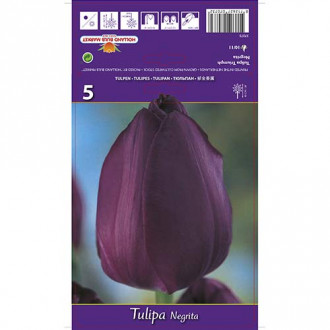 Tulip Negrita interface.image 5