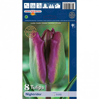 Tulip Night Rider interface.image 4