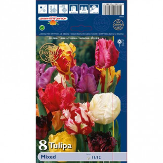 Tulip Parrot Mixed interface.image 5