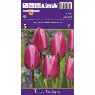 Tulip Pink Surprise interface.image 3