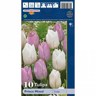 Tulip Prince, segu interface.image 6