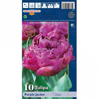 Tulip Purple Jacket interface.image 3