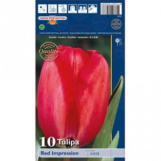 Tulip Red Impression interface.image 1