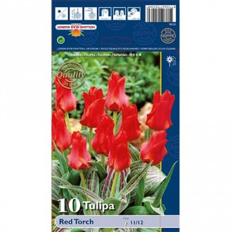 Tulip Red Torch interface.image 3