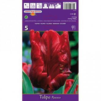 Tulip Rococo interface.image 1