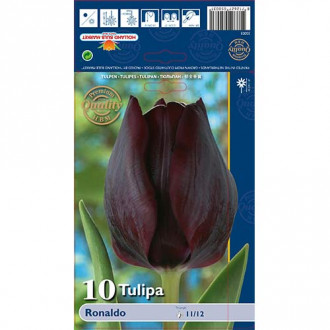 Tulip Ronaldo interface.image 1