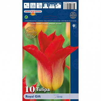 Tulip Royal Gift interface.image 3