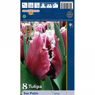 Tulip San Pablo interface.image 1