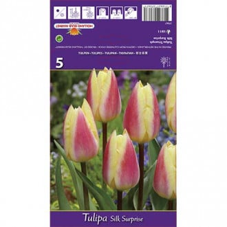 Tulip Silk Surprise interface.image 3