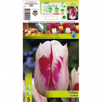 Tulip Sorbet interface.image 4