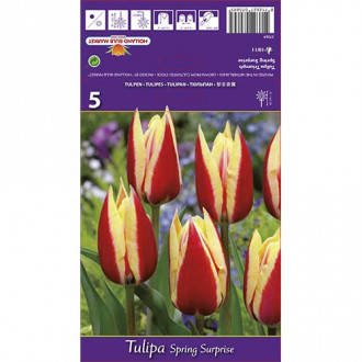 Tulip Spring Surprise interface.image 6