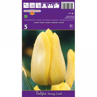 Tulip Stronggold interface.image 3