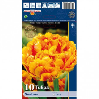 Tulip Sunlover interface.image 1