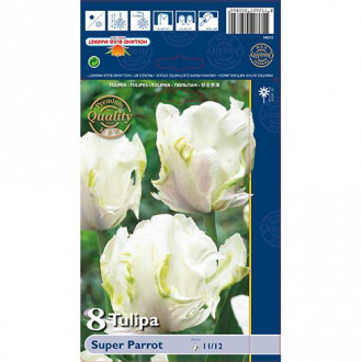 Tulip Super Parrot interface.image 6