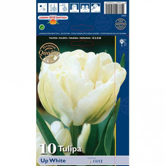 Tulip Up White interface.image 1