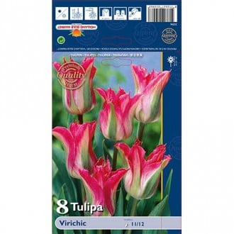 Tulip Virichic interface.image 4