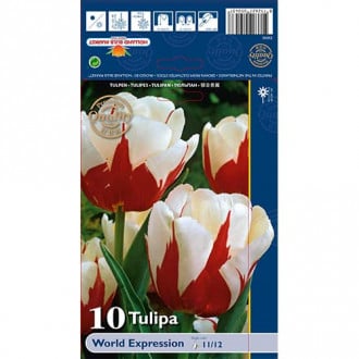 Tulip World Expression interface.image 2