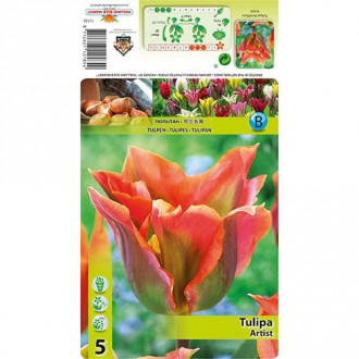 Tulp roheliste õitega (Viridiflora) Artist interface.image 1