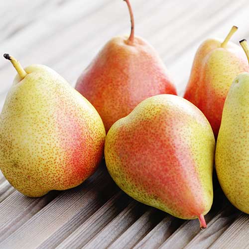 Pirn Santa Maria, С2 interface.image 1 interface.art 4305