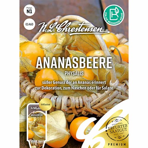 Füüsalid Ananasbeere Physalis interface.art foto 1 Füüsalid Ananasbeere Physalis interface.image 1 interface.art 87827