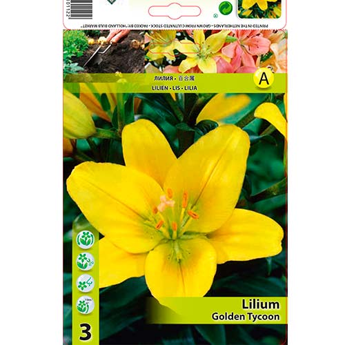 Liilia Golden Tycoon interface.art foto 1 Liilia Golden Tycoon interface.image 1 interface.art 70468