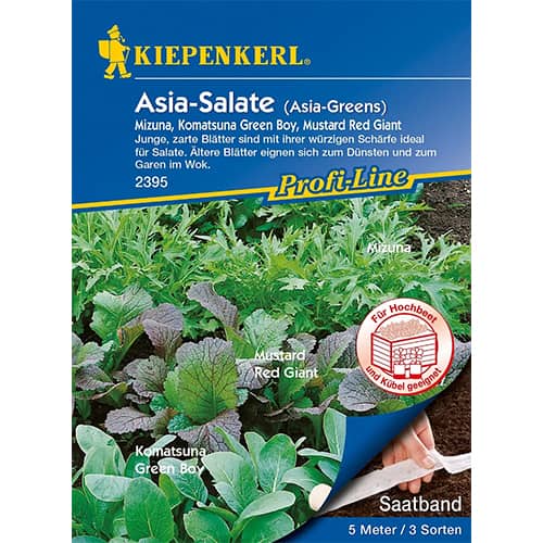 Aasia salat, segu interface.art foto 1 Aasia salat, segu interface.image 1 interface.art 87291