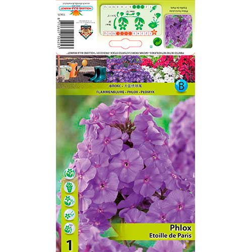 Aedfloks Etoille de Paris interface.image 1 interface.art 76347